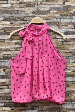 GL_0795_POIS_ANAIS526-POIS