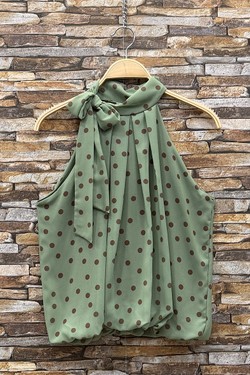 GL_0795_POIS_ANAIS526-POIS
