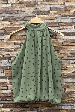 GL_0795_POIS_ANAIS526-POIS