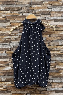 GL_0795_POIS_ANAIS526-POIS