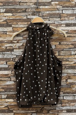 GL_0795_POIS_ANAIS526-POIS