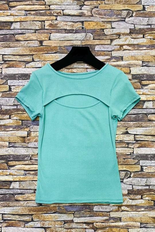 HS_2869-VERT CELADON