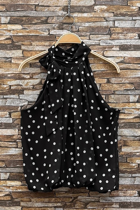 GL_0795_POIS_ANAIS526-POIS
