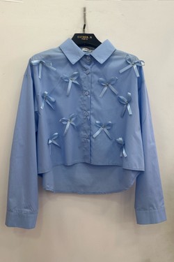 R8018-BLEU CLAIR