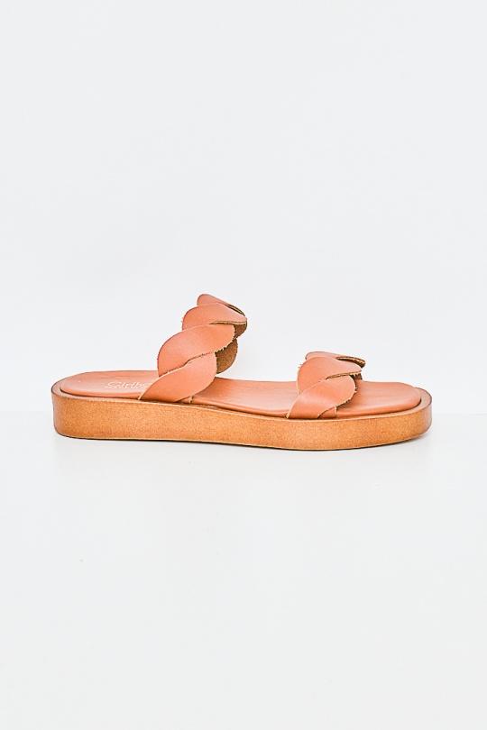 HARMONIE AB02-CAMEL