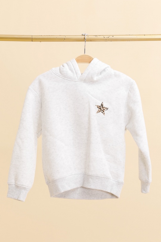 SW2632-1-GRIS