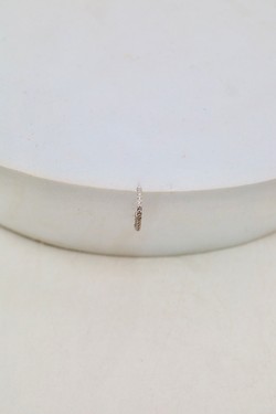 D2501 (SERTI)-OR