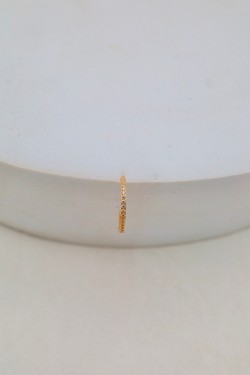 D2502 (SERTI)-OR