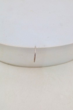 D2502 (SERTI)-OR