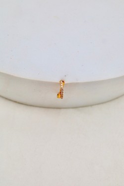 D2504 (SERTI)-OR