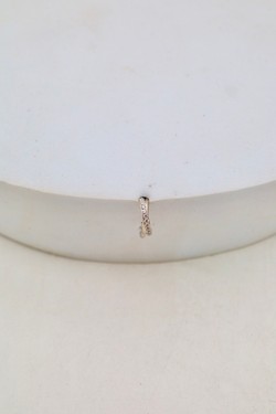 D2504 (SERTI)-OR