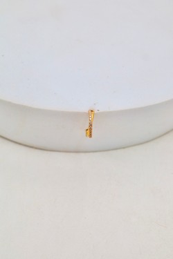 D2505 (SERTI)-OR