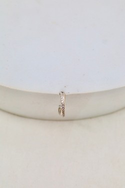 D2505 (SERTI)-OR