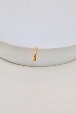 D2506 (SERTI)-OR