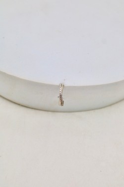 D2506 (SERTI)-OR