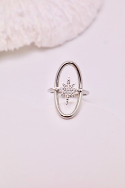 H1595-OR