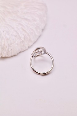 H1595-OR