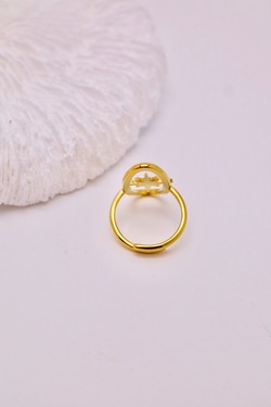 H1595-OR