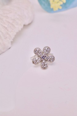 H1599-OR