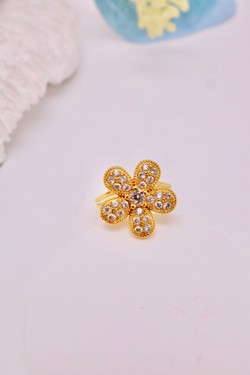 H1599-OR