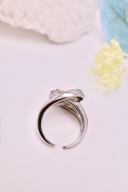 D2579-ARGENT