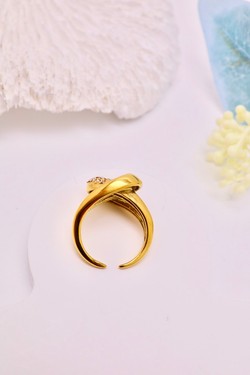 D2579-ARGENT