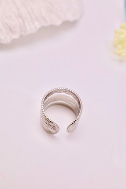 H1613-ARGENT