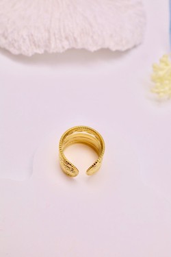 H1613-ARGENT