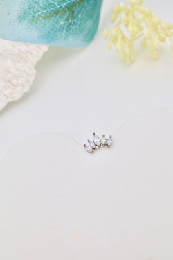 D2515-ARGENT