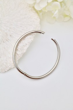 H1384-ARGENT