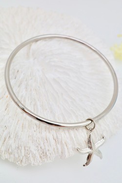 H1168 6-ARGENT