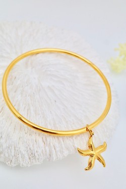 H1168 6-ARGENT