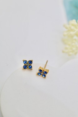 20T-BLEU