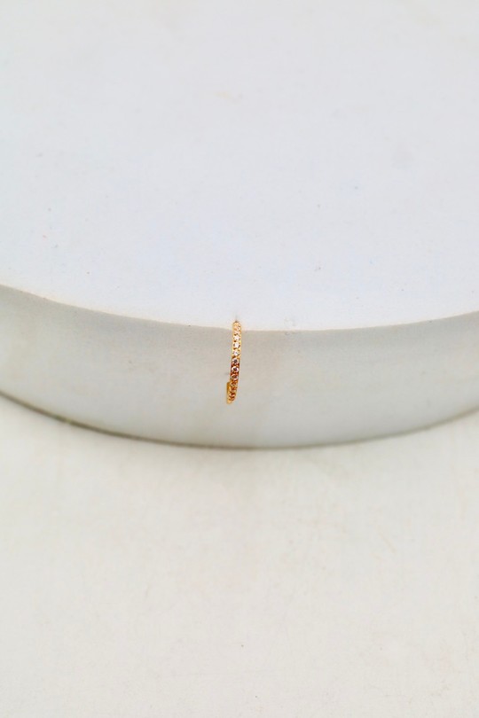 D2501 (SERTI)-OR