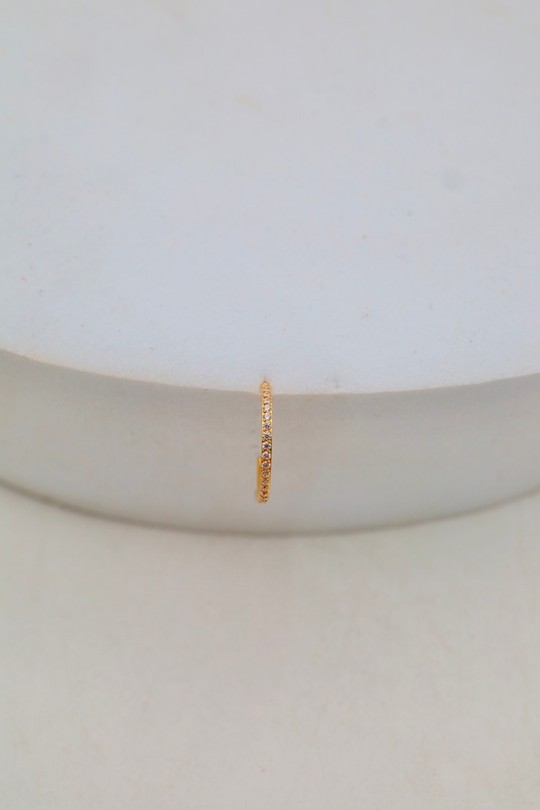 D2502 (SERTI)-OR