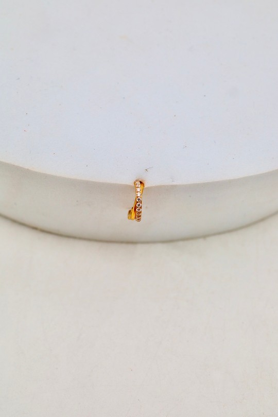 D2504 (SERTI)-OR