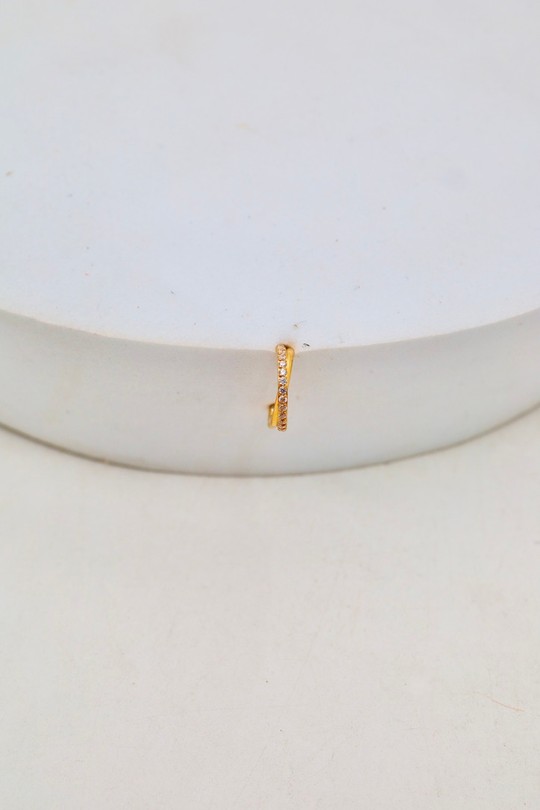 D2505 (SERTI)-OR