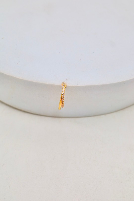 D2506 (SERTI)-OR
