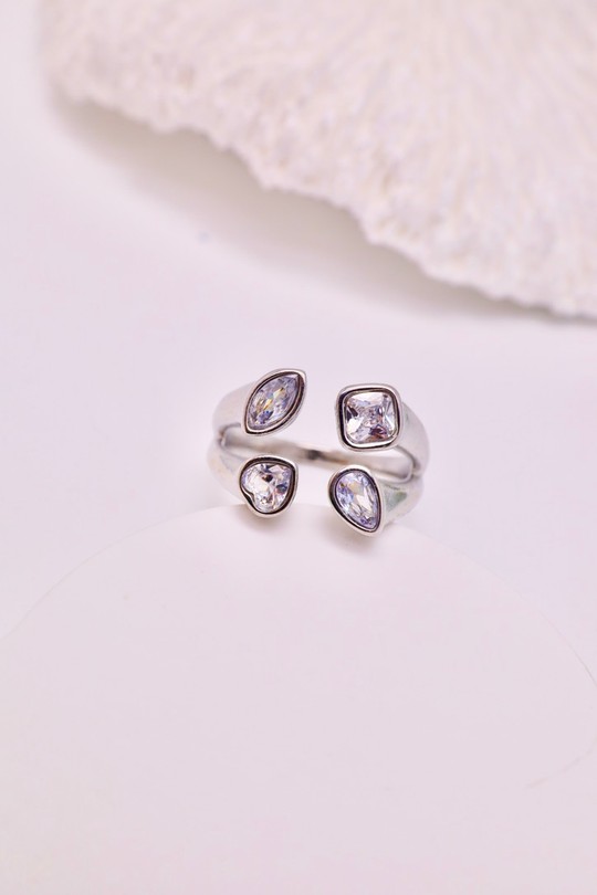 N955-ARGENT