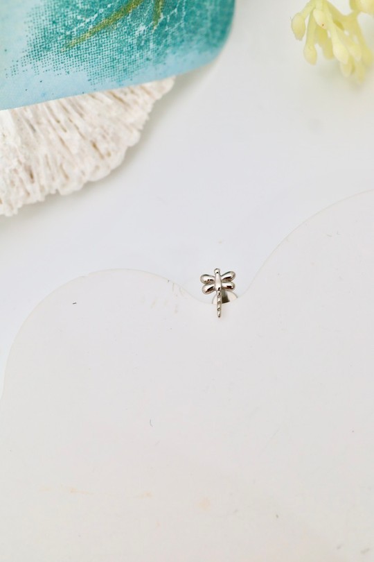 D2517-ARGENT