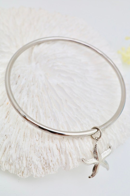 H1168 6-ARGENT