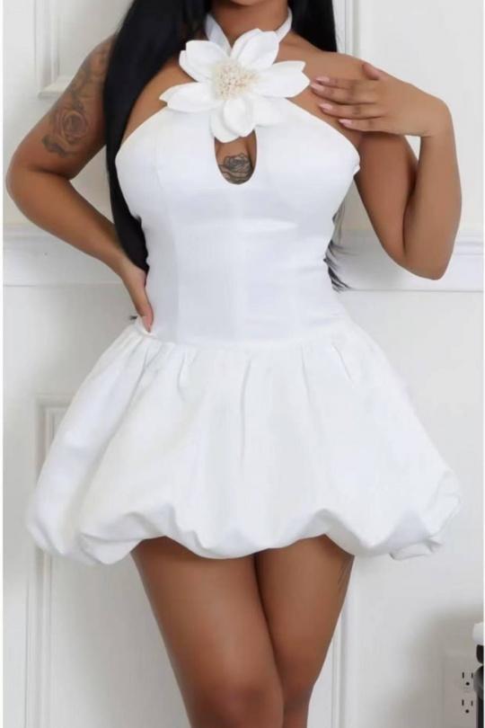 521671-BLANC