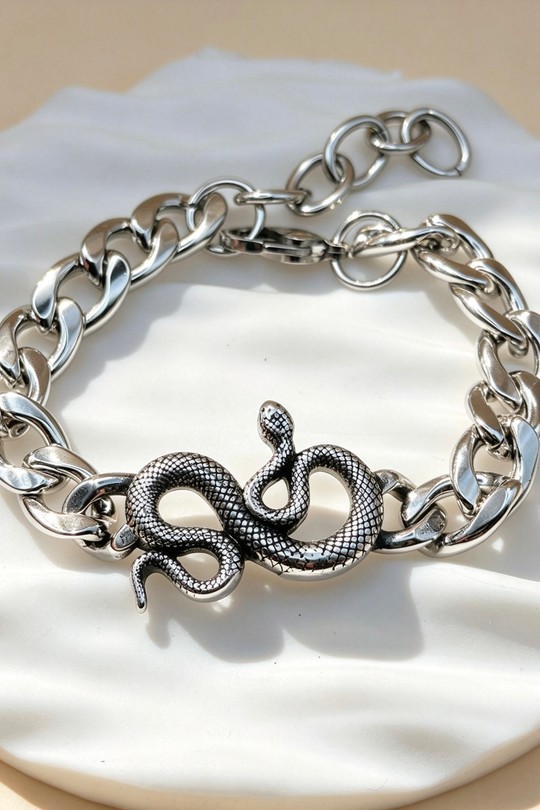 BRAC 6353-ARGENT