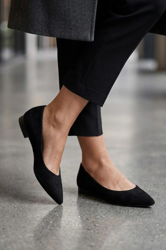 J0244-NOIR