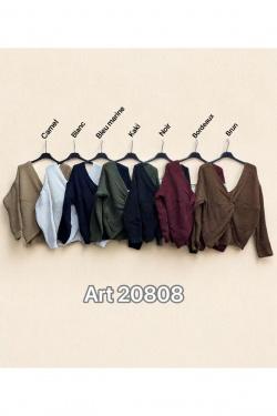 20808-BRUN