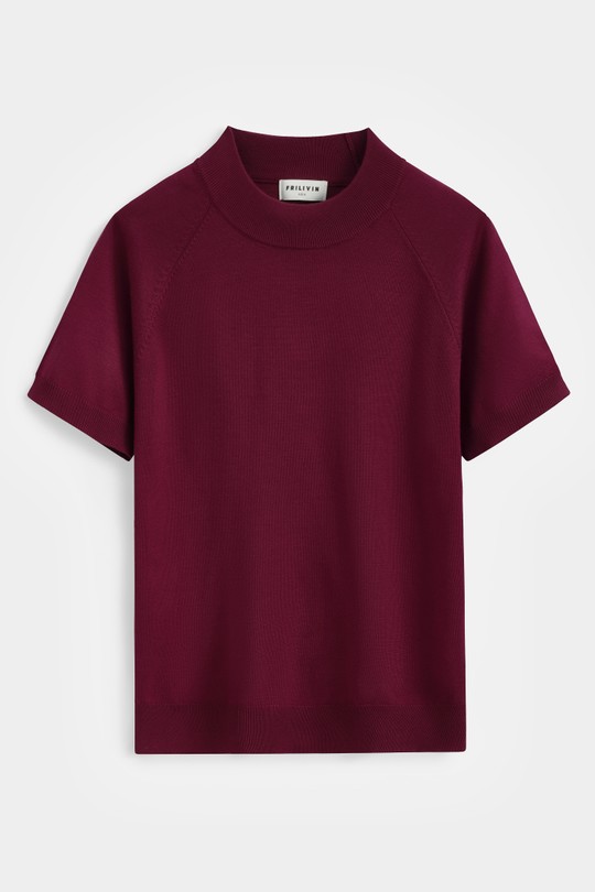 FA5100-6-ROUGE