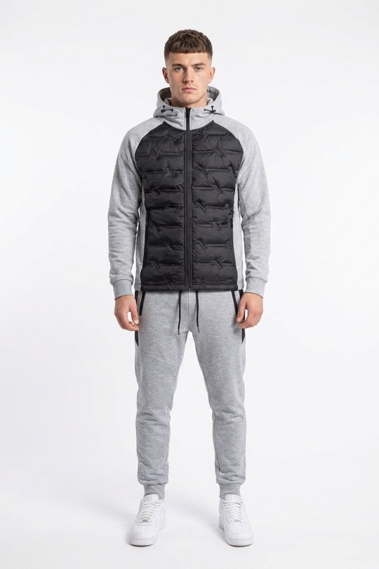 tx1487-GRIS