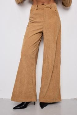 AZ1597-CAMEL