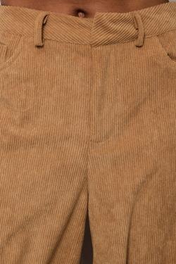 AZ1597-CAMEL