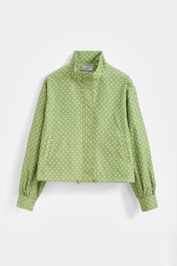 AZ1637-VERT